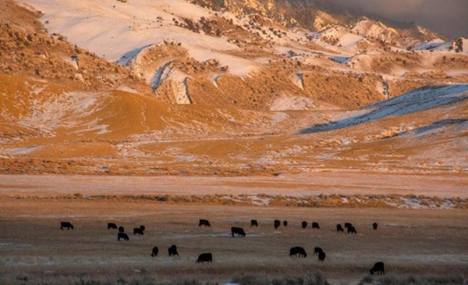 The Ferris Mountains border Lamont to the east
